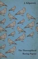 The Thoroughbred Racing Pigeon 1445511940 Book Cover