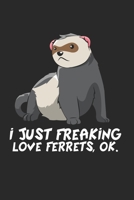 Frettchen Notizbuch: Frettchen Notizbuch f�r Liebhaber / Notizheft / Notizblock A5 (6x9in) Dotted Notebook / Punkteraster / 120 gepunktete Seiten 1671311523 Book Cover