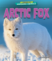Arctic Fox B0DXK37WW5 Book Cover