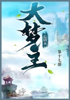 ???: ???? (Chinese Edition) 1088247857 Book Cover