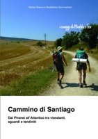 Cammino di Santiago - Dai Pirenei all'Atlantico tra viandanti, sguardi e tendiniti 0244885788 Book Cover