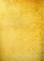 Miroslaw Balka 36.6 0941548252 Book Cover