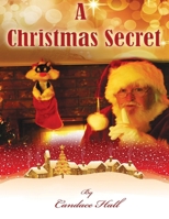 A Christmas Secret 1622740394 Book Cover