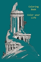Coloring book: " color your life" is a book to color. complexe coloring book anti-stress , Coloring activity books for girl daughter women boy men friend B088YBCCG9 Book Cover