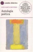 Antologia poetica/ Poetic Anthology (Clasicos Castalia) (Spanish Edition) (Clásicos Castalia) 8497400178 Book Cover