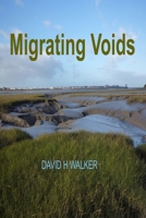 Migrating Voids 1499609493 Book Cover