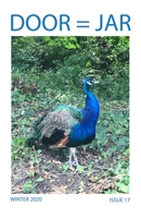 DOOR = JAR Issue 17 Winter 2020: Door Is A Jar Literary Magazine B08P8NKWCK Book Cover