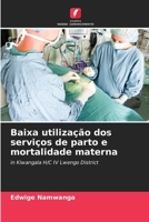Baixa utilização dos serviços de parto e mortalidade materna (Portuguese Edition) 6208104580 Book Cover