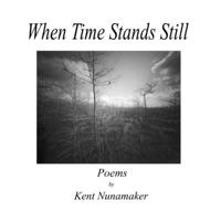 When Time Stands Still 1387991310 Book Cover