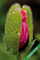 Garden Notes: Opening poppy blossom. Format A5, 120 pages, fine grey lined. Journal, diary, notebook and garden planner for everything that happens in the garden throughout the year 1707919453 Book Cover