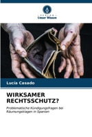 Wirksamer Rechtsschutz? (German Edition) 6206580148 Book Cover