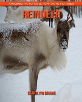 Reindeer: Amazing Pictures & Fun Facts for Kids 1676890173 Book Cover
