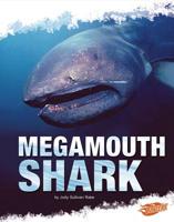 Megamouth Shark (Pebble Plus) 1429654171 Book Cover