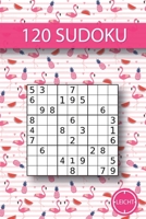 120 Sudoku: 120 leichte Sudoku I Ideal für zwischendurch I geeignet für Kinder I toller Zeitvertreib für lange Reisen I Größe ca. Din A5 I (German Edition) 1686528612 Book Cover