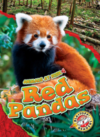 Red Pandas B0BYXR2KV8 Book Cover