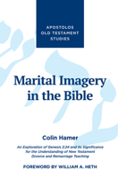 Marital Imagery in the Bible 1532669208 Book Cover