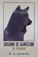 Shadow of Darkstone : The Beginning 179605447X Book Cover