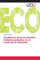 Cicatrices de la economía: metales pesados en el suelo de la industria (Spanish Edition) 6200390509 Book Cover