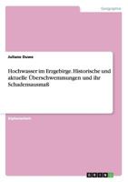 Hochwasser im Erzgebirge. Historische und aktuelle �berschwemmungen und ihr Schadensausma� 3668106320 Book Cover