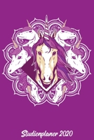 Studienplaner 2020: Wochenplaner zum notieren, organisieren und planen ca. DIN A5 6x9. Kalender / Terminkalender / Monats- / Tages�bersicht / Kontakt- / Geburtstags listen / Design: Einhorn Mandala Ei 1678361275 Book Cover