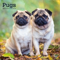 Pugs 2027 12 X 24 Inch (Hanging) Monthly Square Wall Calendar Plastic-Free B0GH8QF1CZ Book Cover