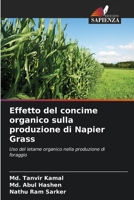 Effetto del concime organico sulla produzione di Napier Grass (Italian Edition) 6207730720 Book Cover