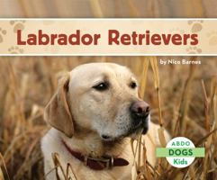 Perros Labradores 1629700339 Book Cover