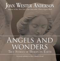 Angels and Wonders: True Stories of Heaven on Earth 0829427333 Book Cover