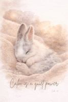 Bunny Cake: Calm is a Quiet Power: Inspirational Lined Notebook with Cake, a Sweet and Tender Bunny, 6" x 9", 100 Pages 1965168019 Book Cover
