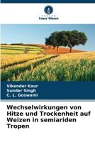 Wechselwirkungen von Hitze und Trockenheit auf Weizen in semiariden Tropen 6209095755 Book Cover