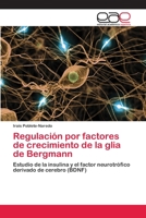 Regulación por factores de crecimiento de la glia de Bergmann: Estudio de la insulina y el factor neurotrófico derivado de cerebro (BDNF) 3848457962 Book Cover