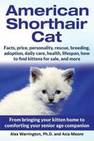 American Shorthair Cat: From Bringing Your Kitten Home to Comforting Your Senior Age Companion 1999913582 Book Cover