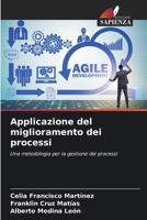 Applicazione del miglioramento dei processi (Italian Edition) 6207050762 Book Cover