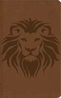NBLA, Biblia visual de estudio para niños, Leathersoft, Café: Explora la Biblia: personajes, lugares e historia 082977243X Book Cover