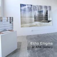 Echo Enigma at ARK Gallery: Echo Enigma at ARK Gallery 171951402X Book Cover