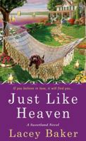 Just Like Heaven 1250019230 Book Cover