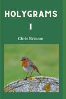 Holygrams 1 1006822569 Book Cover