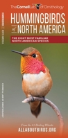 Hummingbirds 1620052415 Book Cover