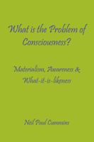 What Is the Problem of Consciousness?: Materialism, Awareness & What-It-Is-Likeness 1907962050 Book Cover