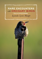 Rare Encounters with Ordinary Birds 1570614199 Book Cover