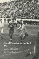 Small Victories for the Soul VII 0359348998 Book Cover