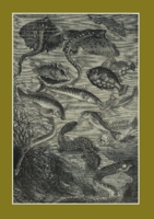 Carnet Blanc. Vingt Mille Lieues Sous Les Mers, Jules Verne, 1871. le Fleuve Noir 2329304129 Book Cover