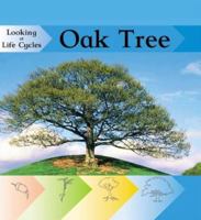 Oak Tree (Looking at Life Cycles) 159920178X Book Cover