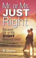 Mr. or Ms. Just Right: Because Mr. or Ms. Right Does Not Exist! 1432793586 Book Cover