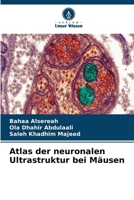 Atlas der neuronalen Ultrastruktur bei Mäusen (German Edition) 6630293657 Book Cover