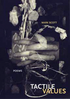 Tactile Values (New Issues Poetry & Prose) 0932826911 Book Cover