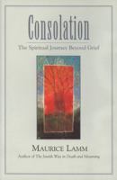 Consolation: The Spiritual Journey Beyond Grief 0827608152 Book Cover