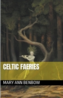 Celtic Faeries B0C5TTD8PN Book Cover