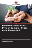 Incitations fiscales et PME en Zambie - Étude de la Copperbelt (French Edition) 6209858937 Book Cover