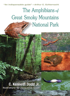 The Amphibians of Great Smoky Mountains National Park 1572332751 Book Cover